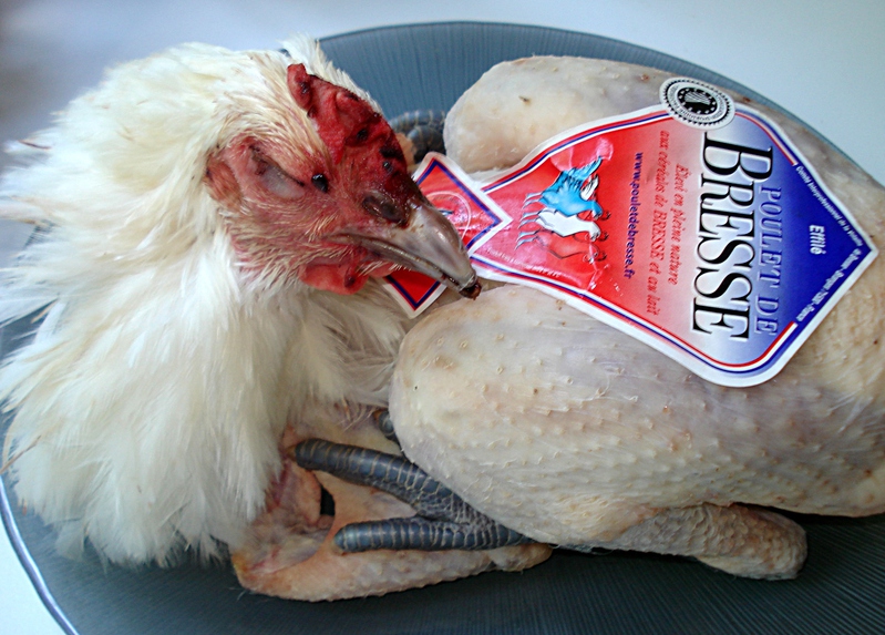 [http://zivot.poradna.net/file/view/153-poulet-de-b resse-jpg]